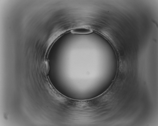 X0000102371332200808081144