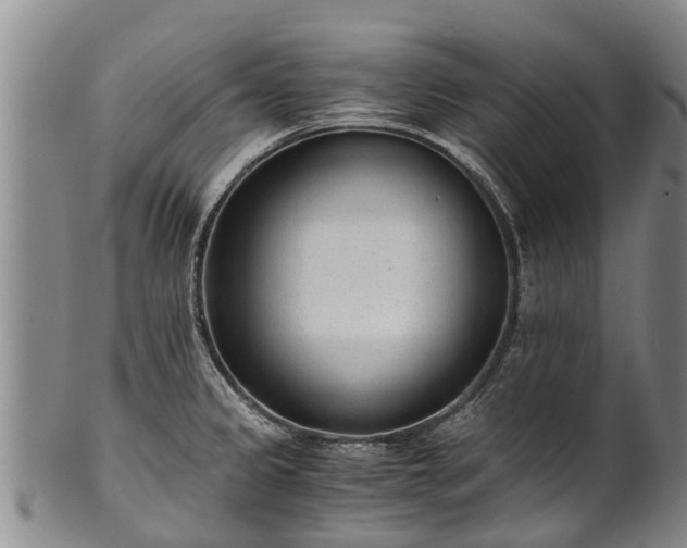 X0000102371333200808081144