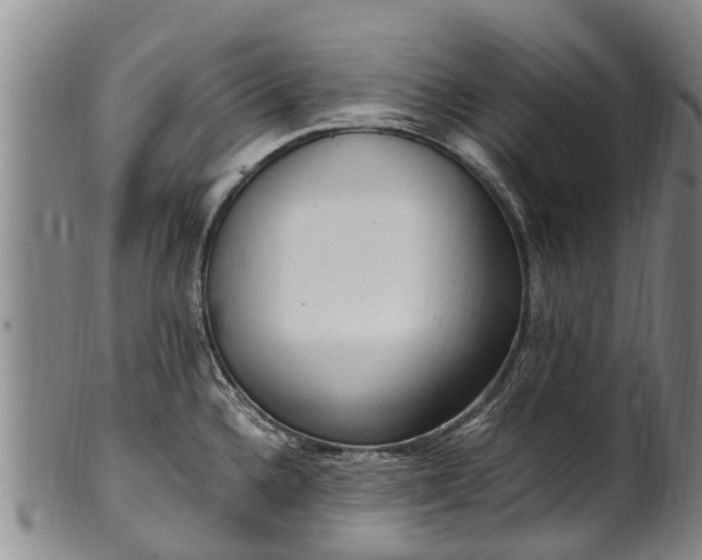 X0000102371336200808081144