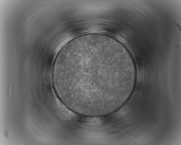 X0000102371338200808081144