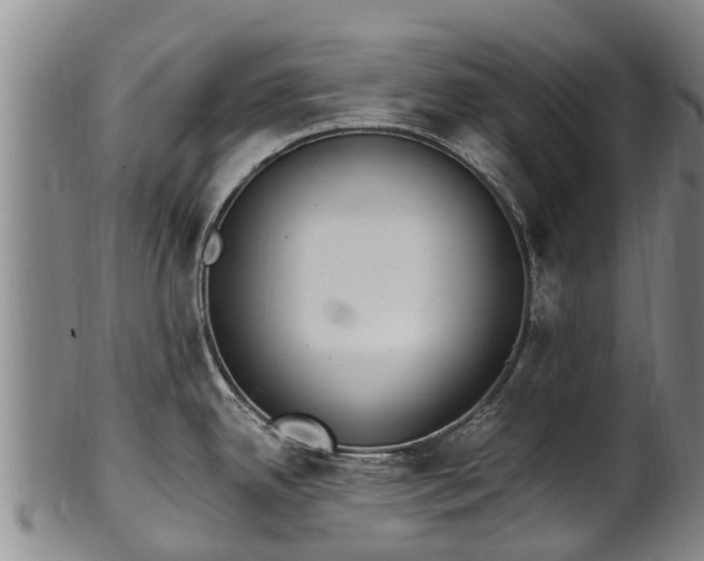 X0000102371342200808081144