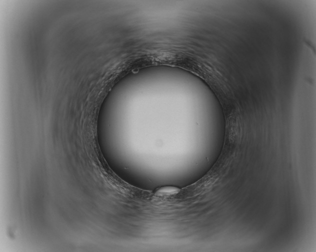 X0000102371345200808081143