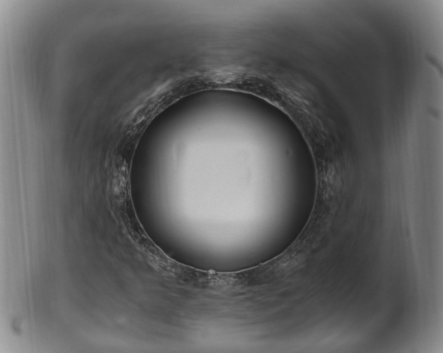 X0000102371349200808081143