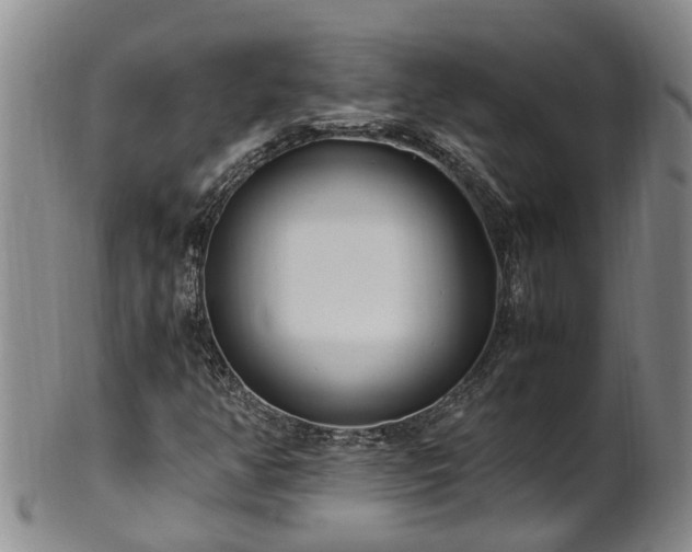 X0000102371350200808081143