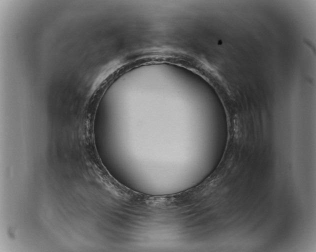 X0000102371352200808081143