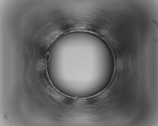 X0000102371353200808081143