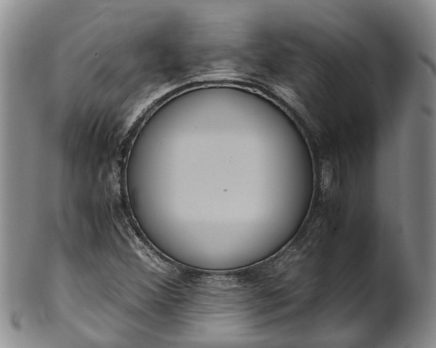 X0000102371356200808081143