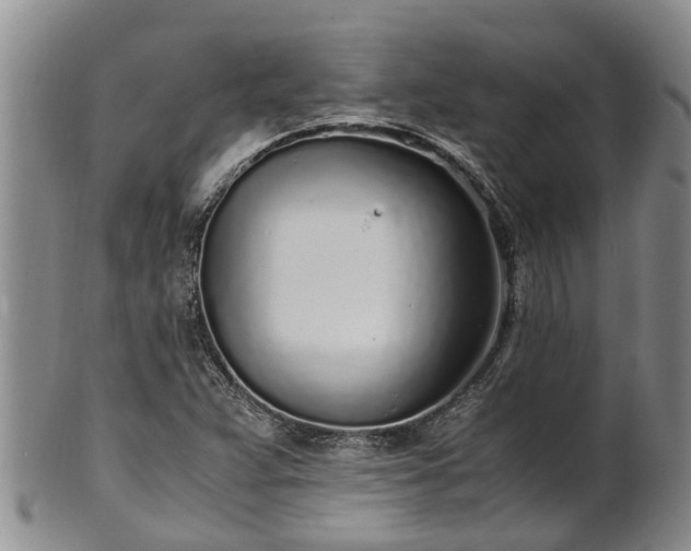 X0000102371359200808081143