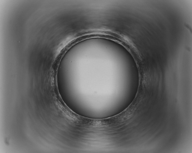 X0000102371360200808081143