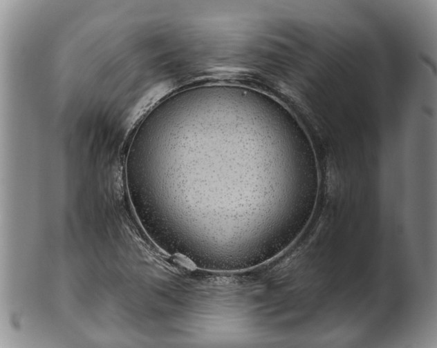 X0000102371362200808081143