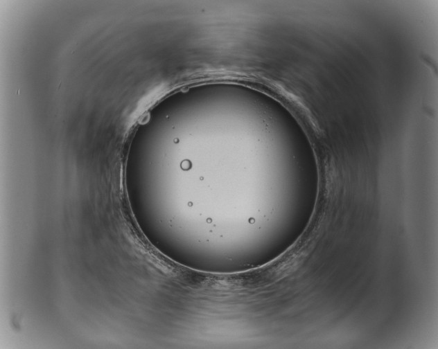 X0000102371365200808081143