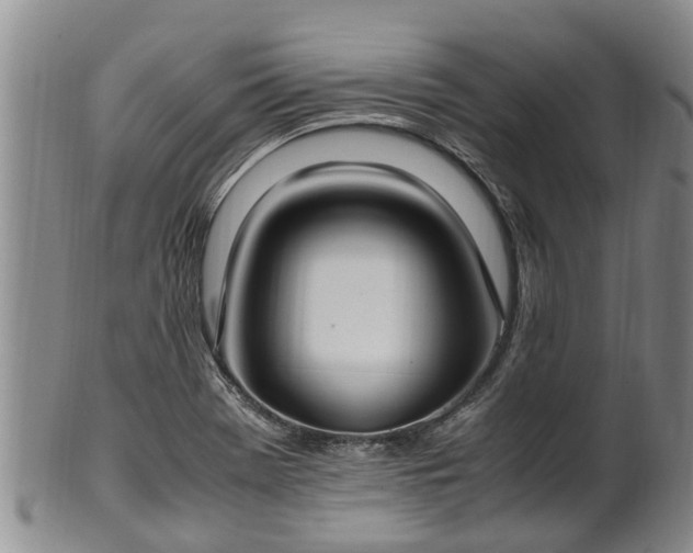 X0000102371369200808081143