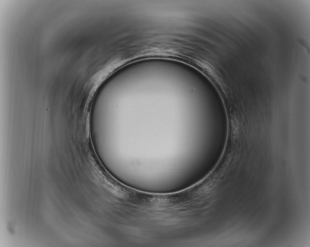 X0000102371371200808081143