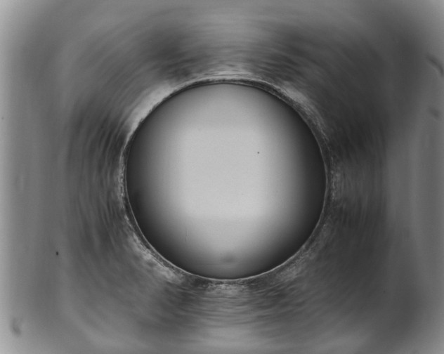 X0000102371374200808081143