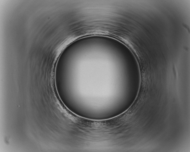 X0000102371379200808081143