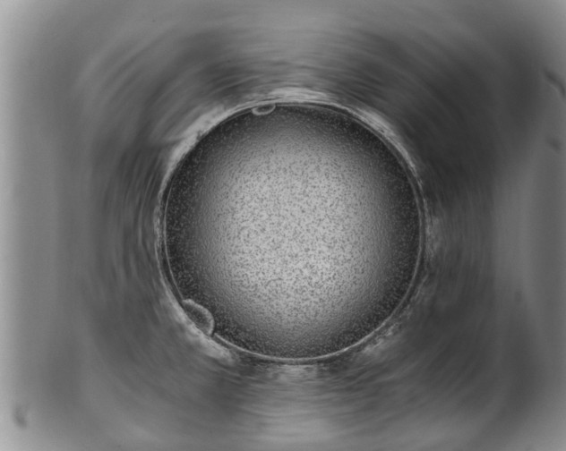 X0000102371381200808081143