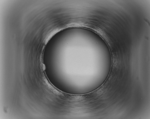 X0000102371382200808081143