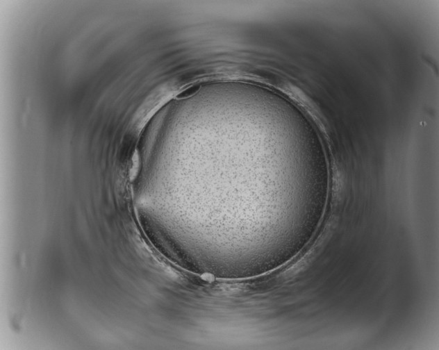 X0000102371385200808081143