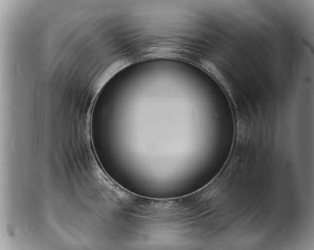 X0000102371386200808081143