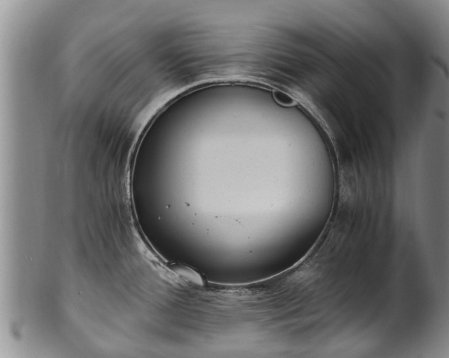 X0000102371388200808081143