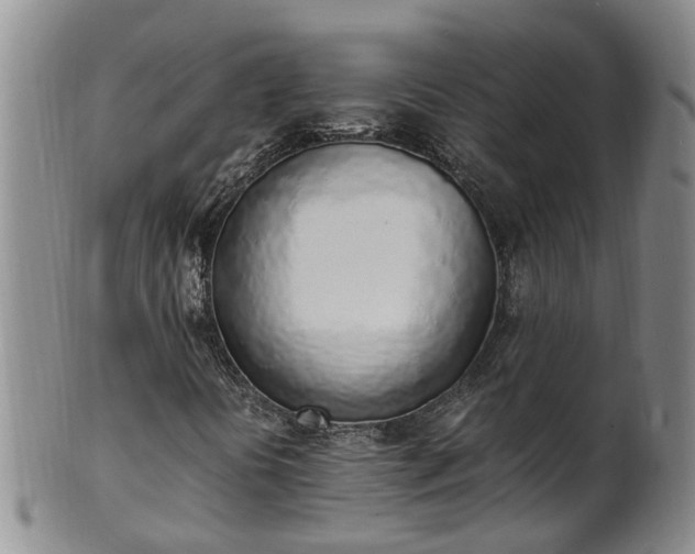 X0000102371394200808081142