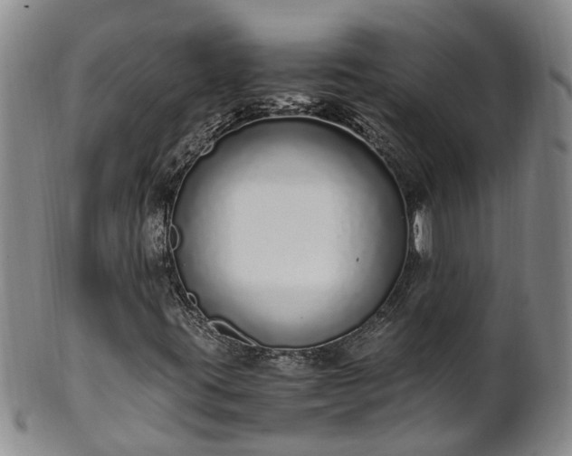 X0000102371395200808081142