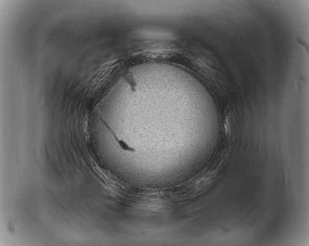 X0000102371396200808081142