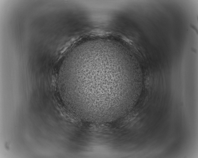 X0000102371397200808081142