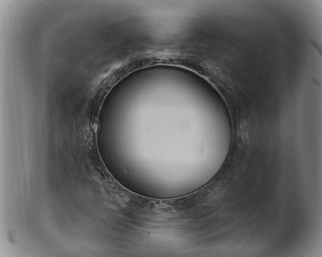 X0000102371398200808081142
