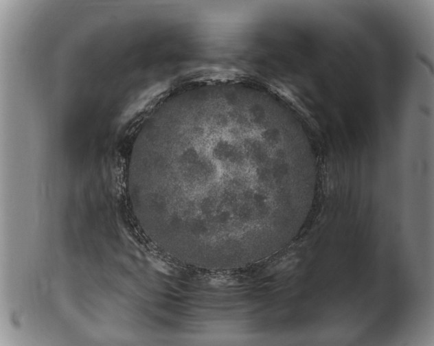 X0000102371399200808081142