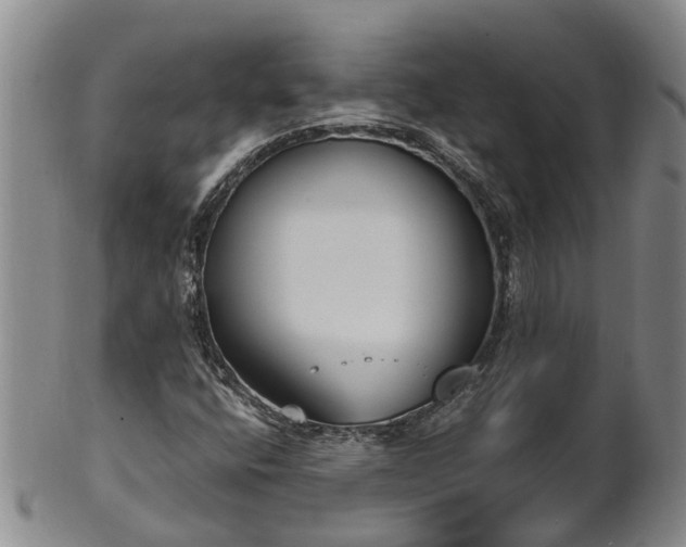 X0000102371400200808081142