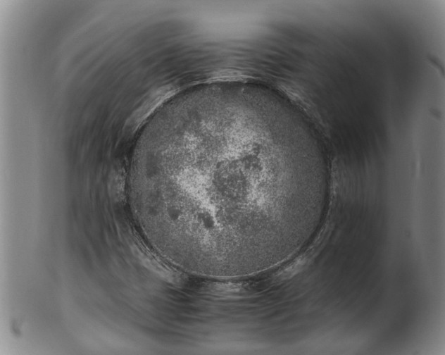 X0000102371401200808081142