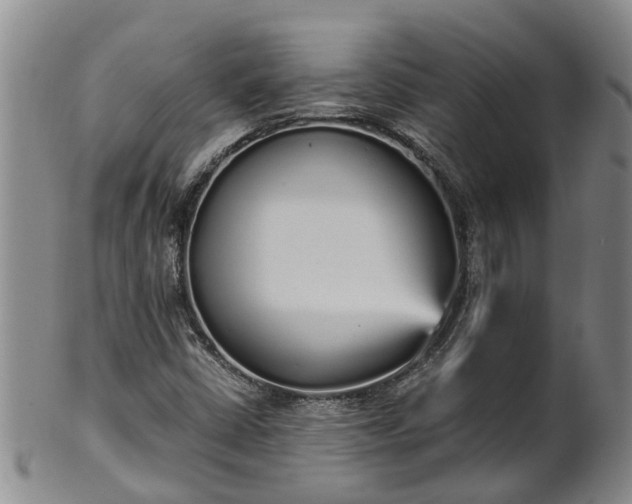 X0000102371402200808081142