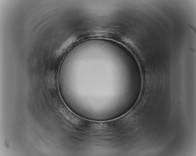 X0000102371403200808081142