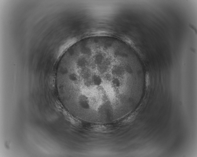 X0000102371405200808081142