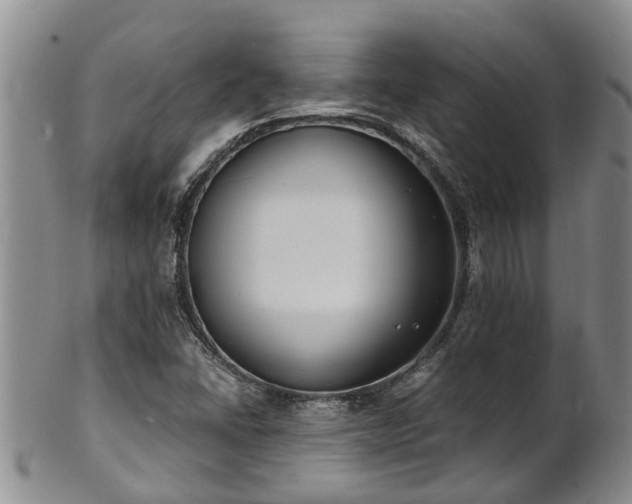 X0000102371406200808081142