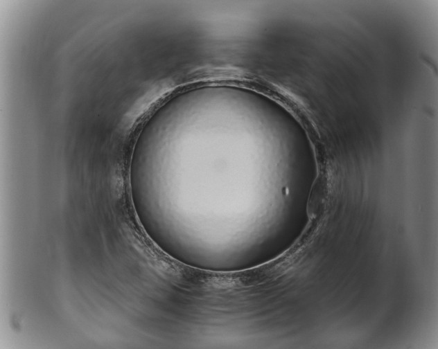 X0000102371407200808081142