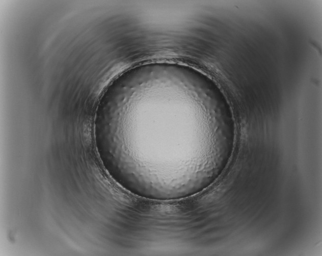 X0000102371409200808081142