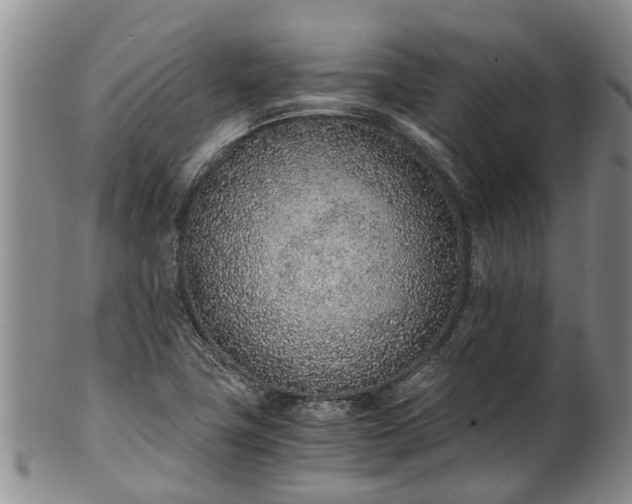 X0000102371411200808081142