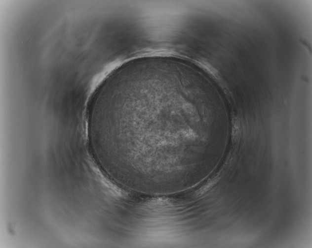 X0000102371414200808081142