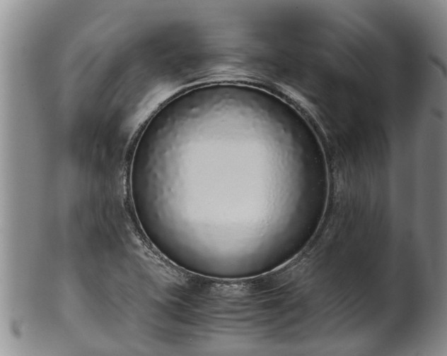 X0000102371415200808081142