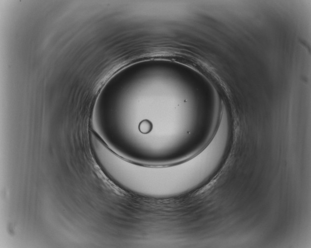 X0000102371417200808081142