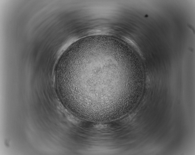 X0000102371419200808081142