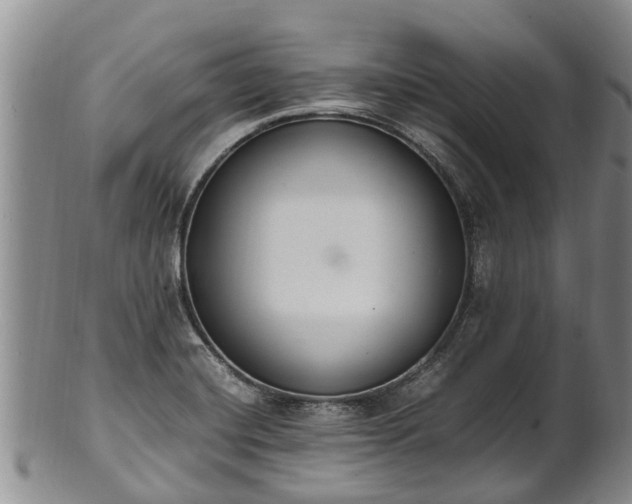 X0000102371420200808081142