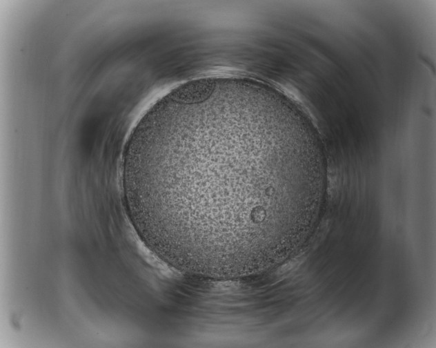 X0000102371421200808081142