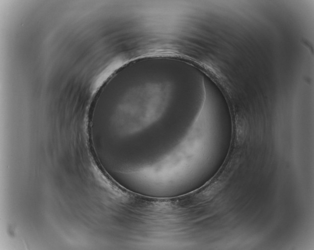 X0000102371422200808081142