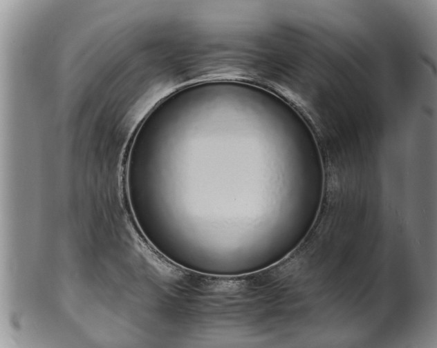 X0000102371423200808081142