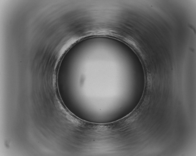 X0000102371424200808081142