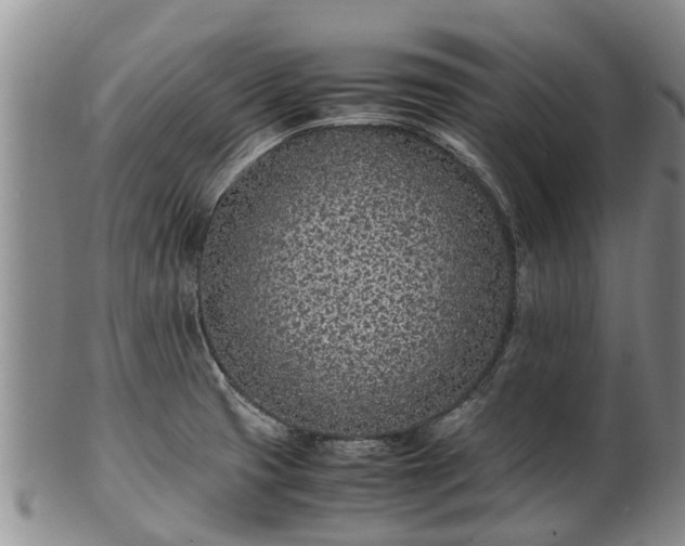 X0000102371425200808081142