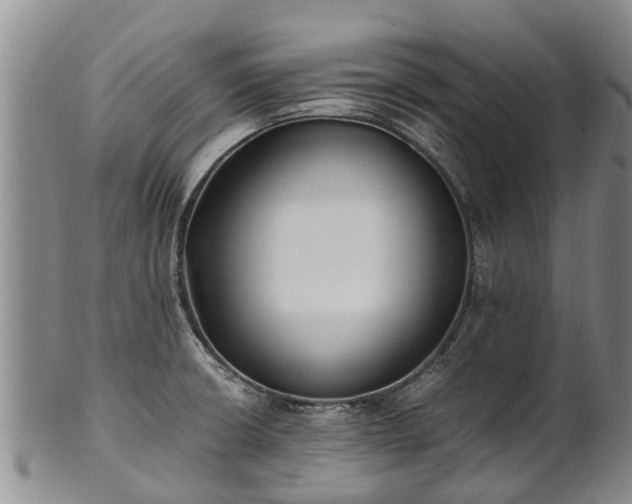 X0000102371426200808081142